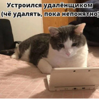 Работаю из дома, а ощущение, будто живу на рабочем месте: что делать?