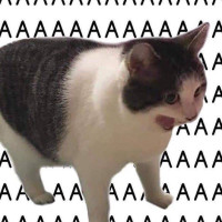 Как агентство недвижимости высвободило 80+ рабочих дней в год и перестало терять клиентов из-за неактуальных объявлений