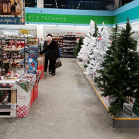 Какие товары не стоит «сбрасывать с санок» на акциях в новогодний сезон?