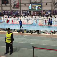 Всплески энергии и молниеносные удары: В Перми проходит турнир по Тхэквондо