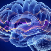 🧠 Эффект рифмы и аллитерации на запоминание