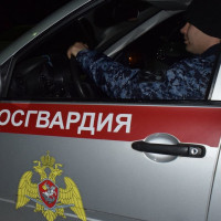 В Елабуге сотрудники Росгвардии задержали подозреваемую в убийстве