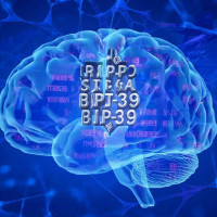 🧠 BIP-39 в контексте цифрового бессмертия сознания