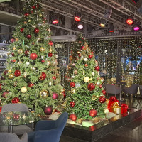 Где встретить Новый новый 2026 год: программа Marins Hotels и яркие события в регионах