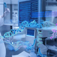 🧬 Хранение фраз в ДНК-носителях