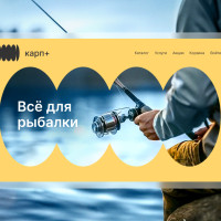 Как создать прибыльный рыболовный интернет-магазин