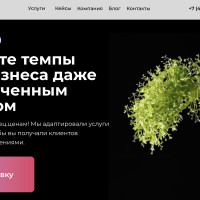 Как бизнесу развиваться онлайн при росте НДС