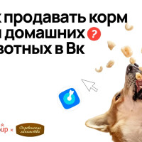 VK как двигатель продаж: кейс Demis Group и «Деревенские лакомства»