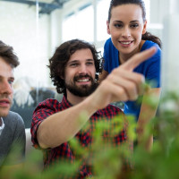 Принципы и модели эффективного взаимодействия в команде