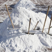 Эксперт объяснила разницу между лопатами для разных типов снега