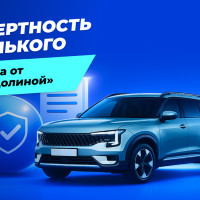 Страховка от «схемы Долиной»: комментирует Борис Беленький