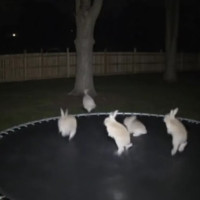 За кулисами дипфейков: как создаются цифровые копии реальности