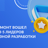 Хоулмонт в топ-5 рейтинга по заказной разработке на CNewsMarket