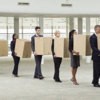 Кадровые сценарии на 2026: сокращение, заморозка или точечный рост