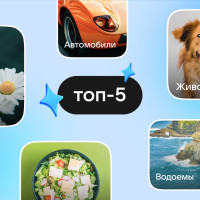 Каждая десятая категория фотографий и воспоминаний — автомобили или водоемы