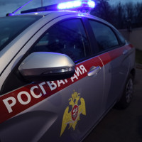 В Елабуге наряд вневедомственной охраны Росгвардии задержал подозреваемого в грабеже из магазина