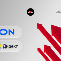 Масштабирование внешнего трафика и конверсий на OZON через Яндекс Директ (&laquo;Продажи на маркетплейсах&raquo;)