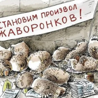 Совы и жаворонки: кому на удаленке жить хорошо?