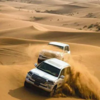 Бизнес на адреналине: пустынное сафари как высокомаржинальная индустрия скорости для предпринимателей, которые мыслят на полном газу