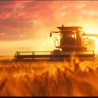 Русское поле: как накормить полмира и вернуть уважение к земле