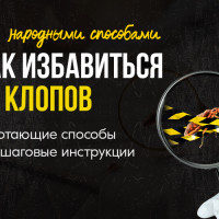 Как избавиться от клопов в квартире: работающие способы и пошаговые инструкции