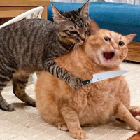 Как перестать бороться за ресурсы и начать доказывать ценность: гайд для директора по маркетингу