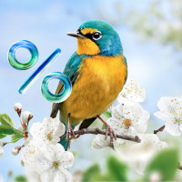 Весенняя акция: запустите сайт со скидкой до 20%