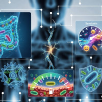 ​Микробиом: биологический фундамент вашей производительности