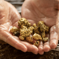 Акции золотодобытчиков или золото?