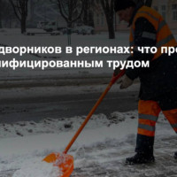 Дефицит дворников в регионах: что происходит с низкоквалифицированным трудом