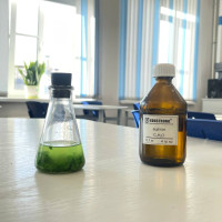 Какой способ экстракции хлорофилла будет эффективен и безопасен для ученика в школьной лаборатории?