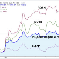 ❓ Вечный вопрос: почему что-то не растёт, когда всё растёт