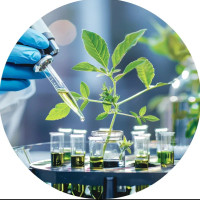 Золотой дождь для агробиотеха: кто, куда и на что может получить деньги от государства в 2026 году