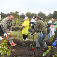 Ультрадекор: как сохранить один из главных символов Башкортостана