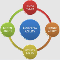 Тест на оценку потенциала: как оценить потенциал и построить команду, способную к быстрой трансформации