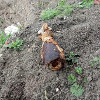 В Херсонской области росгвардейцы обнаружили минометный снаряд времен Великой Отечественной войны