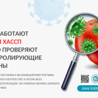 Как работают ППК и ХАССП и что проверяют контролирующие органы