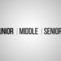 Кто такие Junior, Middle, Senior: Инструкция по применению по сотрудникам в маркетинге и продажах!