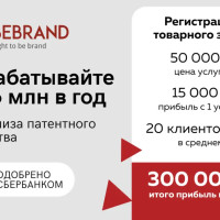 BeBrand отзывы о франшизе: как я ушла из юристов корпорации и заработала миллион за полгода