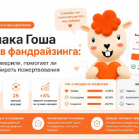 Маскот снизил конверсию: что показал тест на 45 061 посетителе
