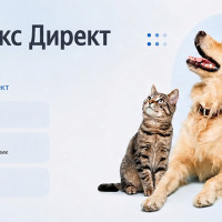 Вывод на рынок за 6 месяцев нового препарата для кошек и собак