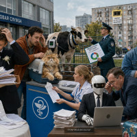 Женился &mdash; неси чек, кот заболел &mdash; готовь декларацию: как налоговая фантазия превращает жизнь в бизнес-процесс