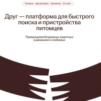 Платформа «Друг»: Тиндер для животных и маркетинговая гигиена