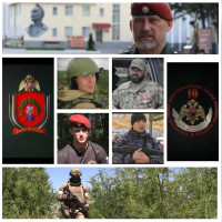 Ко Дню России Росгвардия и оргкомитет Международного фестиваля медийного творчества &laquo;Братина&raquo; проводят показ документальных &nbsp;фильмов о героях СВО