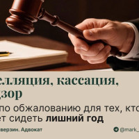 Апелляция, кассация, надзор: гид по обжалованию для тех, кто не хочет сидеть лишний год