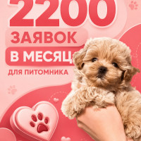 15 лет питомнику. С сайта — одна нецелевая заявка в месяц 🔥 Сейчас — 2272 заявки из SEO