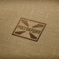 Итоги работы в первом полугодии текущего года подвели подразделения ЛРР областного управления Росгвардии в Самаре