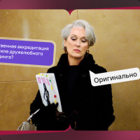 Серьёзный статус, несерьёзный сайт: как редизайн устранил разрыв между статусом катарского хостинга и его сайтом