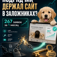 Новый кейс SEO-продвижения заводчика собак