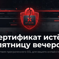 Сертификат истёк в пятницу вечером — и заказы перестали приходить на все выходные
